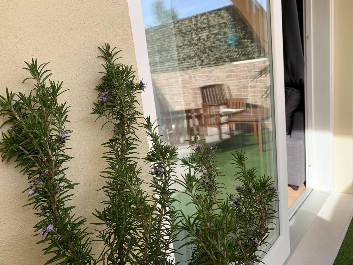 أولبيا New Alloro Flat المظهر الخارجي الصورة